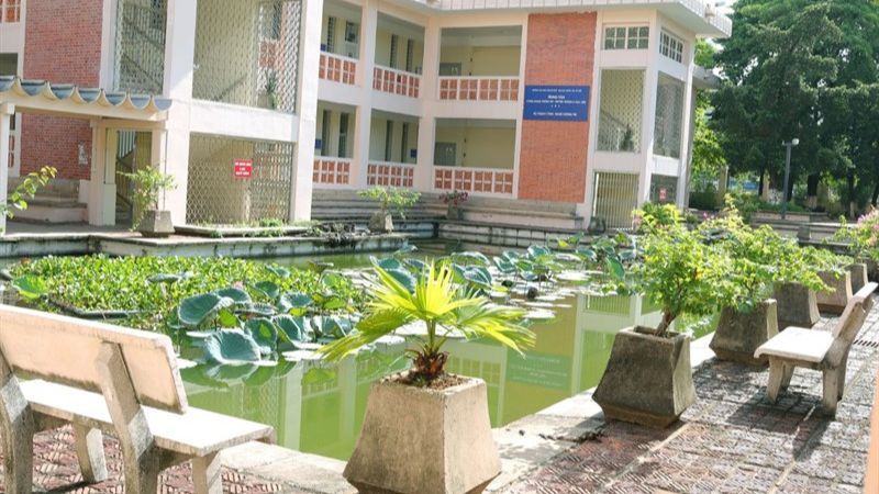 Khóa ôn thi VSTEP A2, B1, B2, C1 Đại học Ngoại ngữ ĐHQGHN ULIS