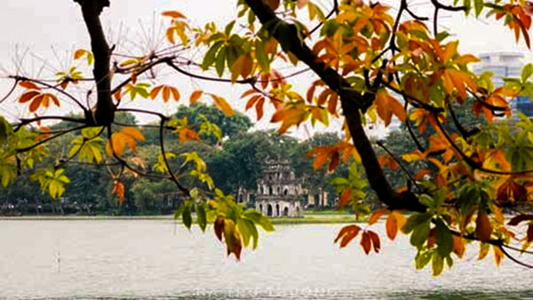 mẫu đề thi miêu tả tranh phong cảnh bằng tiếng anh A1