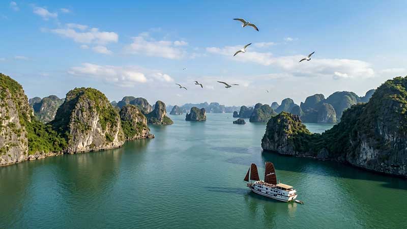 Miêu tả vịnh Hạ Long bằng tiếng anh B1